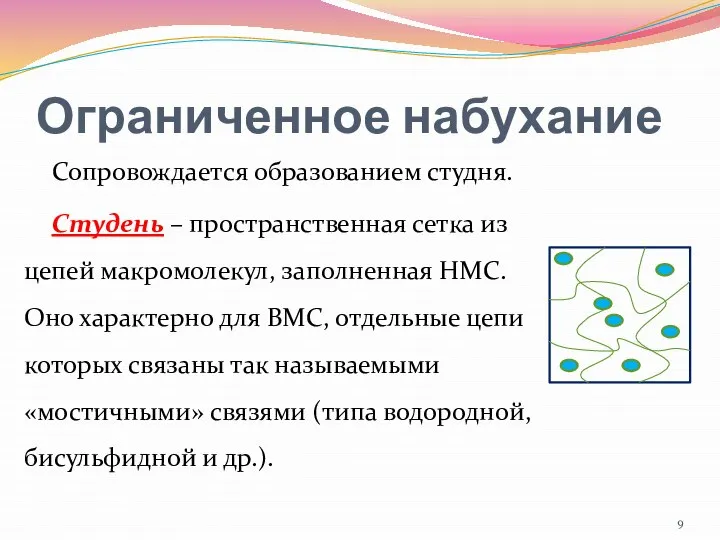 Ограниченное набухание Сопровождается образованием студня. Студень – пространственная сетка из цепей