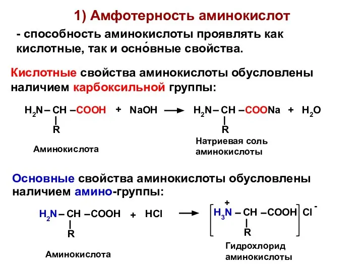 1) Амфотерность аминокислот Основные свойства аминокислоты обусловлены наличием амино-группы: - способность