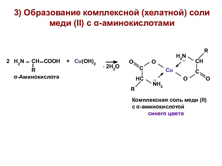 3) Образование комплексной (хелатной) соли меди (II) с α-аминокислотами синего цвета