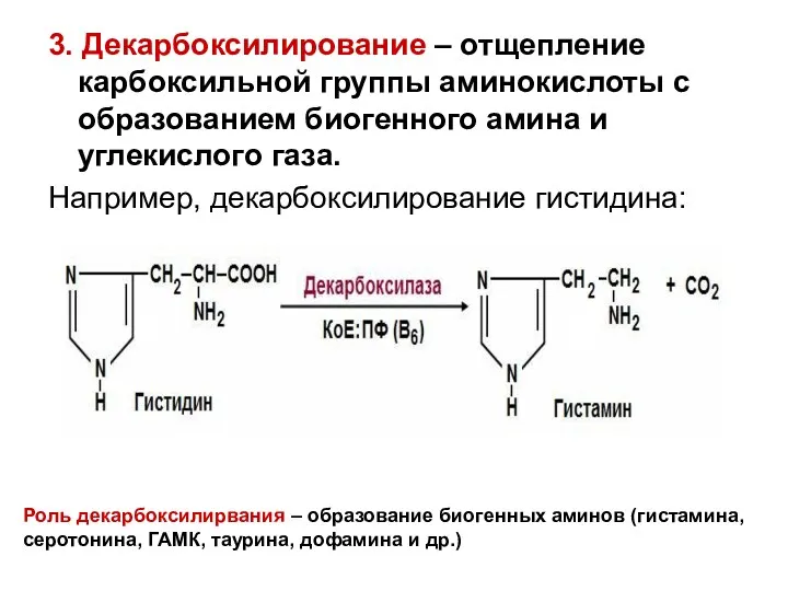 3. Декарбоксилирование – отщепление карбоксильной группы аминокислоты с образованием биогенного амина