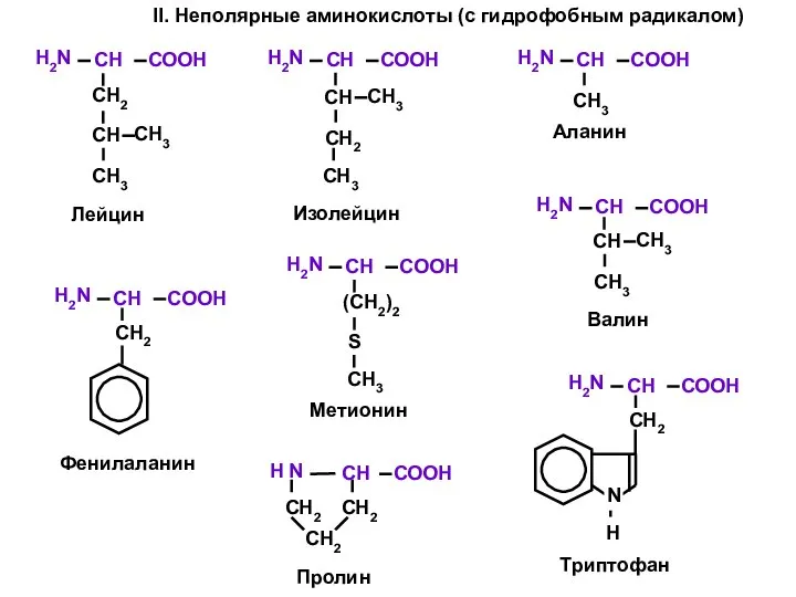 II. Неполярные аминокислоты (с гидрофобным радикалом)