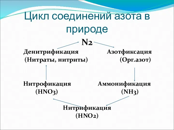 Цикл соединений азота в природе N2 Денитрификация Азотфиксация (Нитраты, нитриты) (Орг.азот)
