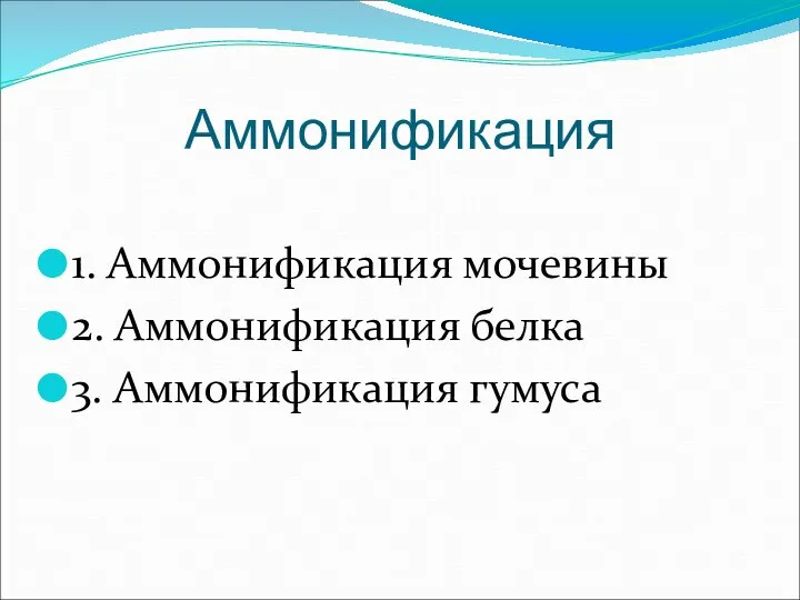 Аммонификация 1. Аммонификация мочевины 2. Аммонификация белка 3. Аммонификация гумуса