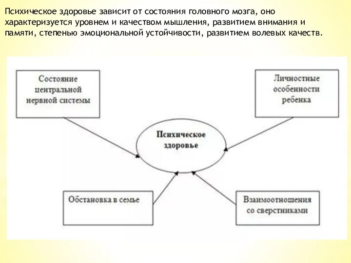 Психическое здоровье зависит от состояния головного мозга, оно характеризуется уровнем и