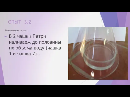 ОПЫТ 3.2 Выполнение опыта: В 2 чашки Петри наливаем до половины