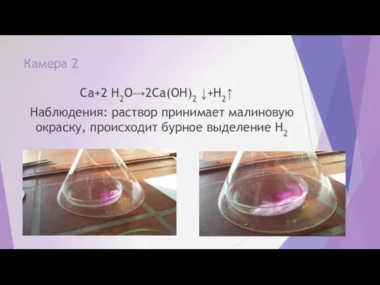 Камера 2 Ca+2 H2O→2Ca(OH)2 ↓+H2↑ Наблюдения: раствор принимает малиновую окраску, происходит бурное выделение H2