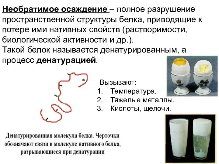 Необратимое осаждение – полное разрушение пространственной структуры белка, приводящие к потере