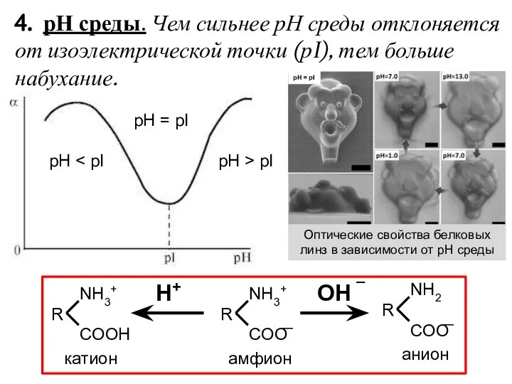 4. рН среды. Чем сильнее рН среды отклоняется от изоэлектрической точки