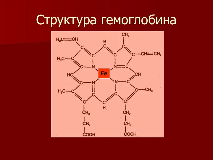 Структура гемоглобина Fe