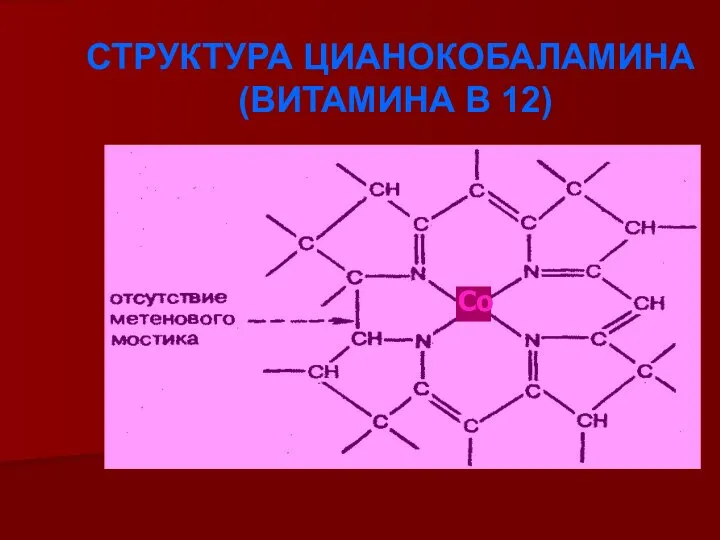 СТРУКТУРА ЦИАНОКОБАЛАМИНА (ВИТАМИНА В 12) Со