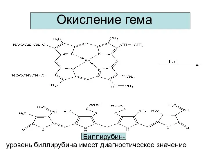 Окисление гема Биллирубин- уровень биллирубина имеет диагностическое значение