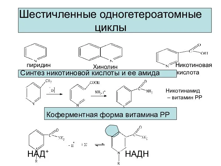 Шестичленные одногетероатомные циклы Синтез никотиновой кислоты и ее амида Коферментная форма