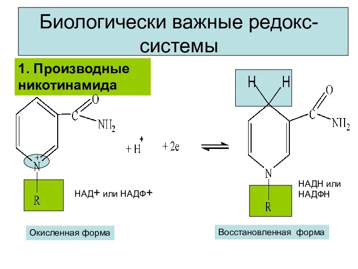 Окисленная форма Биологически важные редокс-системы 1. Производные никотинамида Восстановленная форма НАД+ или НАДФ+ НАДН или НАДФН