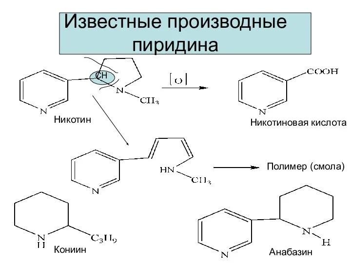 Известные производные пиридина Никотин Никотиновая кислота СН Полимер (смола) Кониин Анабазин