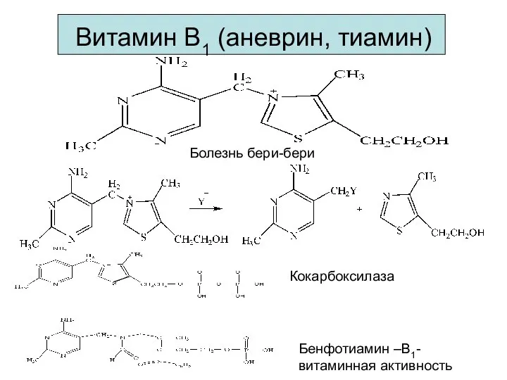 Витамин В1 (аневрин, тиамин) Кокарбоксилаза Бенфотиамин –В1- витаминная активность Болезнь бери-бери