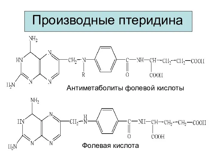 Производные птеридина Фолевая кислота Антиметаболиты фолевой кислоты