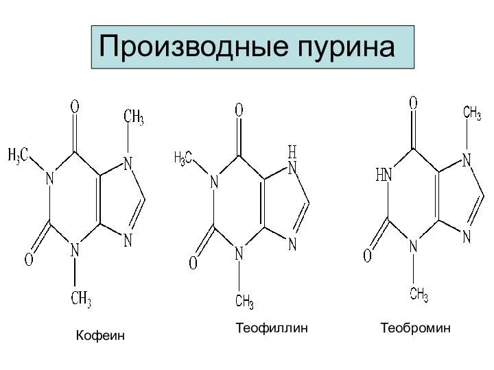 Производные пурина Кофеин Теофиллин Теобромин