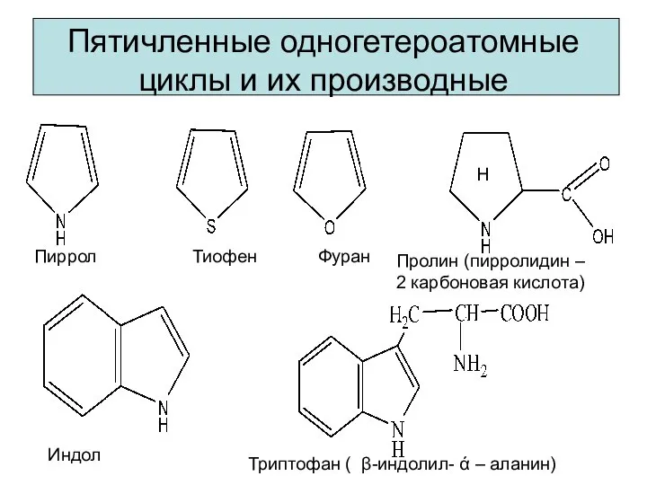 Пятичленные одногетероатомные циклы и их производные Пиррол Тиофен Фуран Пролин (пирролидин