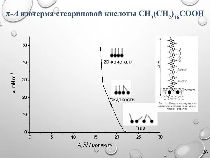 “газ” “жидкость” 2D-кристалл π-A изотерма стеариновой кислоты CH3(CH2)16COOH