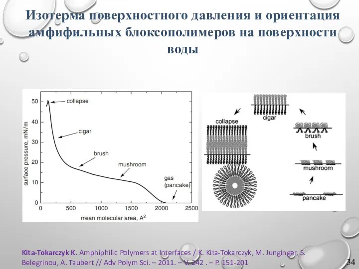 Kita-Tokarczyk K. Amphiphilic Polymers at Interfaces / K. Kita-Tokarczyk, M. Junginger,