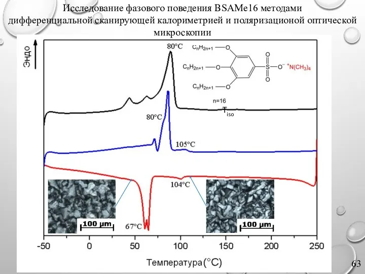 Tiso Исследование фазового поведения BSAMe16 методами дифференциальной сканирующей калориметрией и поляризационой оптической микроскопии