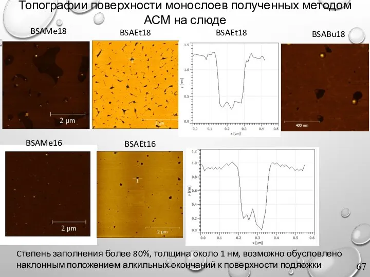 Топографии поверхности монослоев полученных методом АСМ на слюде BSAEt18 BSAEt16 BSABu18