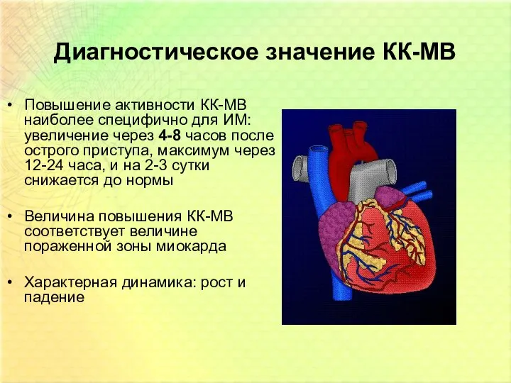 Диагностическое значение КК-МВ Повышение активности КК-МВ наиболее специфично для ИМ: увеличение