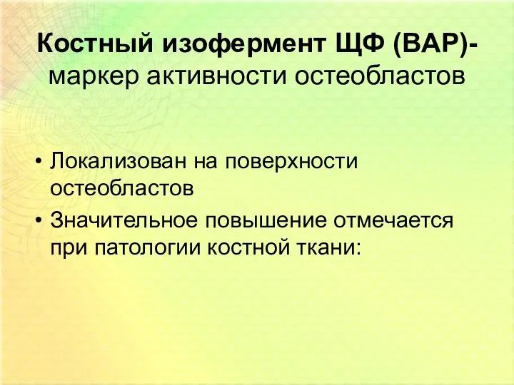 Костный изофермент ЩФ (BAP)- маркер активности остеобластов Локализован на поверхности остеобластов