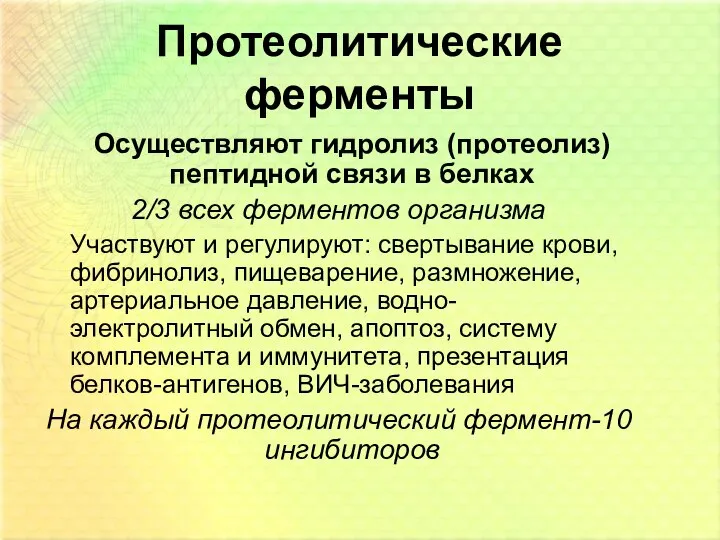 Протеолитические ферменты Осуществляют гидролиз (протеолиз) пептидной связи в белках 2/3 всех