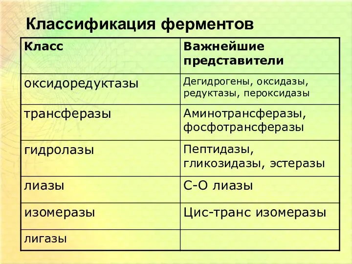 Классификация ферментов