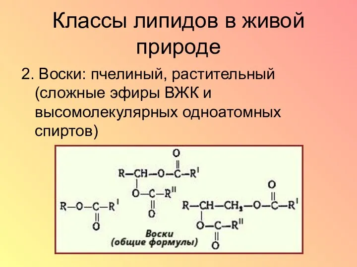 Классы липидов в живой природе 2. Воски: пчелиный, растительный (сложные эфиры ВЖК и высомолекулярных одноатомных спиртов)