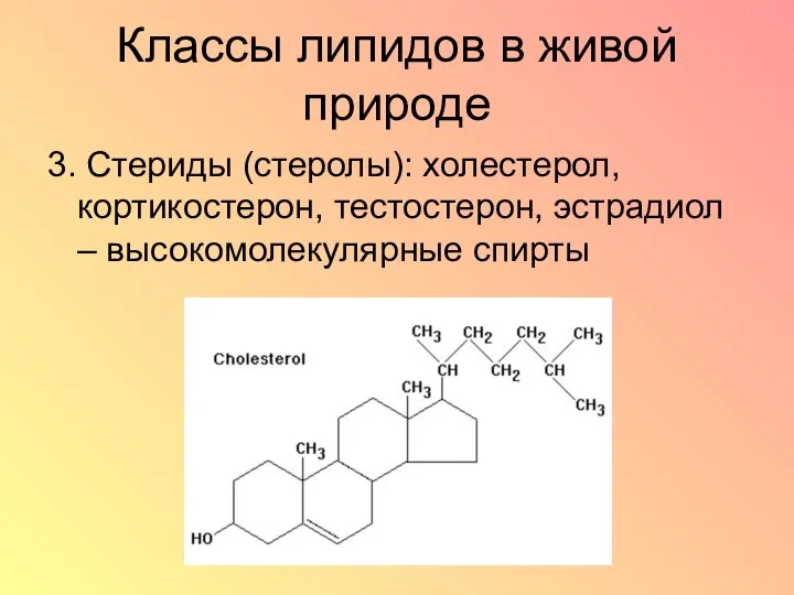 Классы липидов в живой природе 3. Стериды (стеролы): холестерол, кортикостерон, тестостерон, эстрадиол – высокомолекулярные спирты