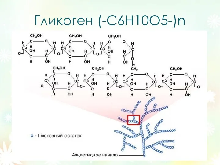 Гликоген (-С6Н10О5-)n