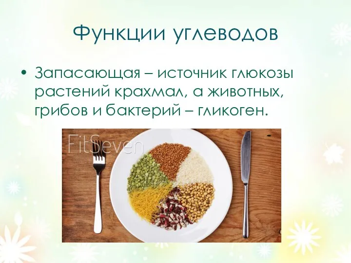 Функции углеводов Запасающая – источник глюкозы растений крахмал, а животных, грибов и бактерий – гликоген.