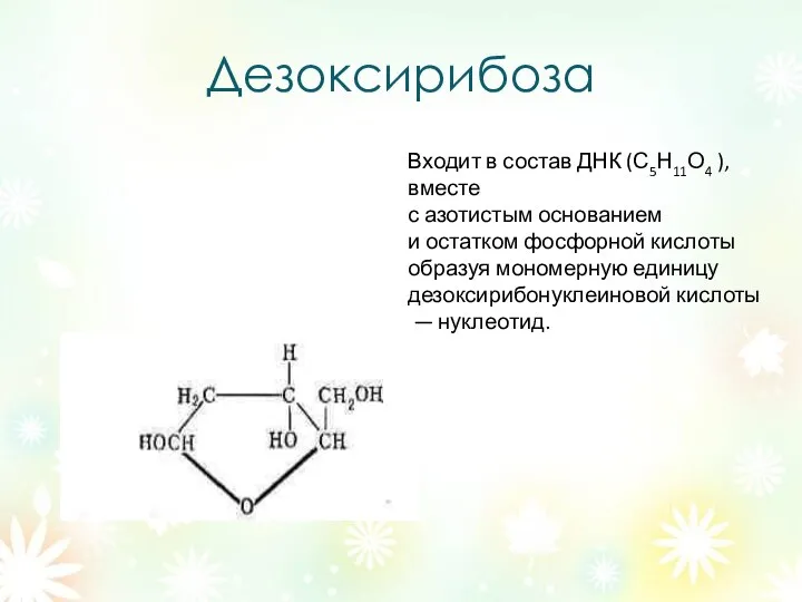 Дезоксирибоза Входит в состав ДНК (С5Н11О4 ), вместе с азотистым основанием