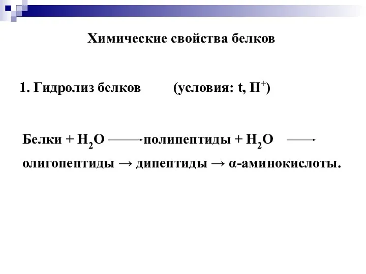 Химические свойства белков 1. Гидролиз белков (условия: t, Н+) Белки +