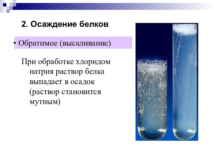 2. Осаждение белков При обработке хлоридом натрия раствор белка выпадает в