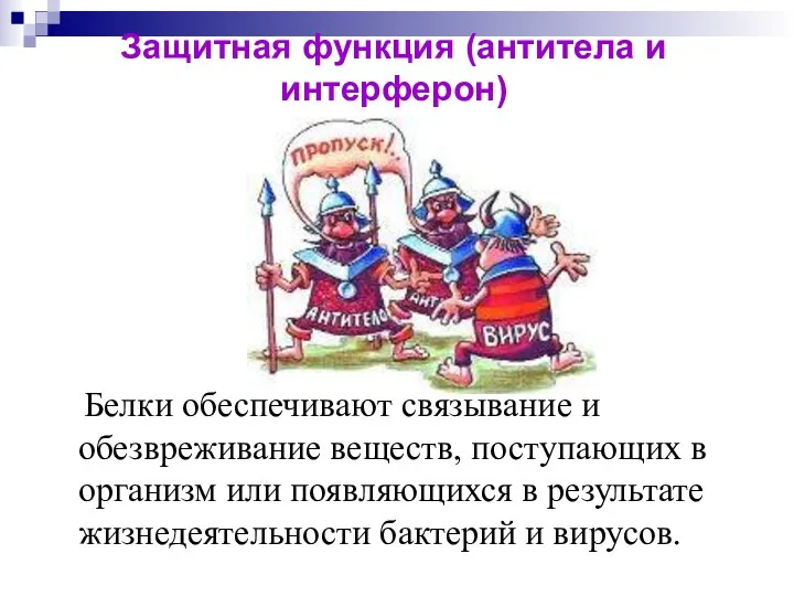 Защитная функция (антитела и интерферон) Белки обеспечивают связывание и обезвреживание веществ,