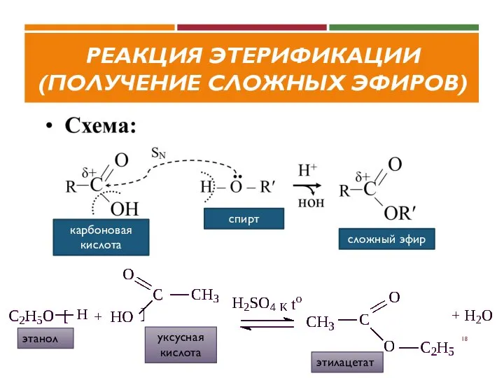 РЕАКЦИЯ ЭТЕРИФИКАЦИИ (ПОЛУЧЕНИЕ СЛОЖНЫХ ЭФИРОВ) карбоновая кислота спирт сложный эфир этилацетат этанол уксусная кислота