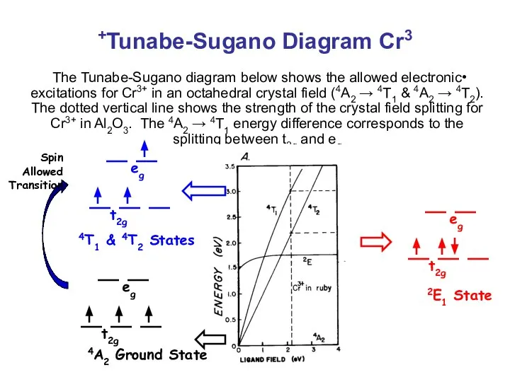 Tunabe-Sugano Diagram Cr3+ The Tunabe-Sugano diagram below shows the allowed electronic