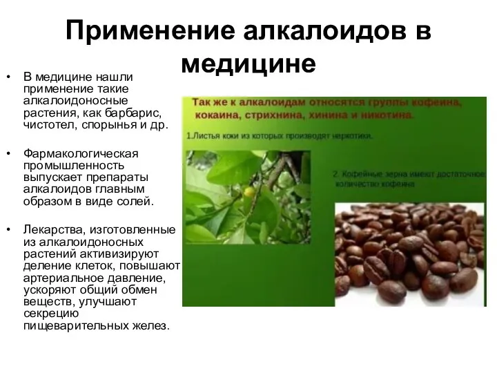 Применение алкалоидов в медицине В медицине нашли применение такие алкалоидоносные растения,