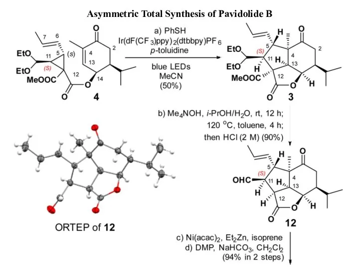 Asymmetric Total Synthesis of Pavidolide B