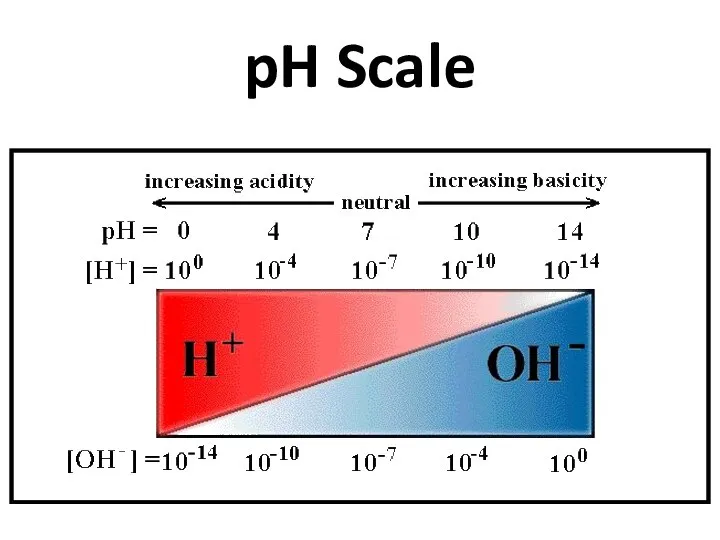 pH Scale