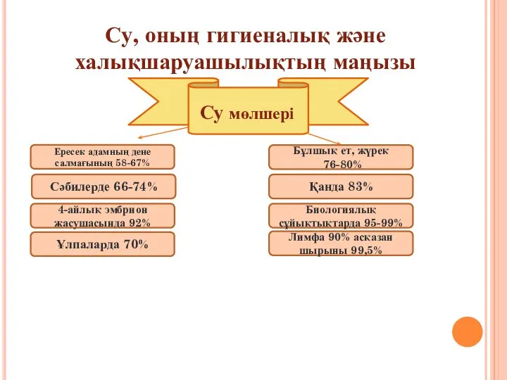 Су, оның гигиеналық және халықшаруашылықтың маңызы Су мөлшері Ересек адамның дене