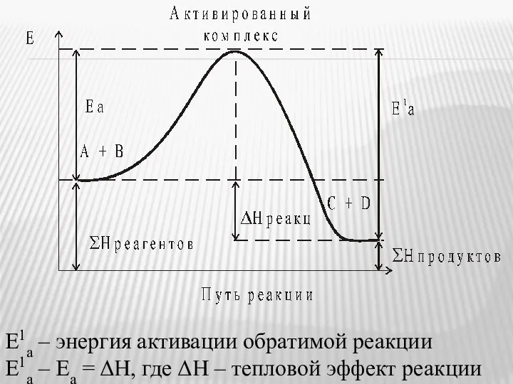 Е1а – энергия активации обратимой реакции Е1а – Еа = ΔН,