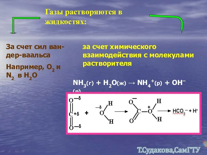 Газы растворяются в жидкостях: За счет сил ван-дер-ваальса Например, О2 и