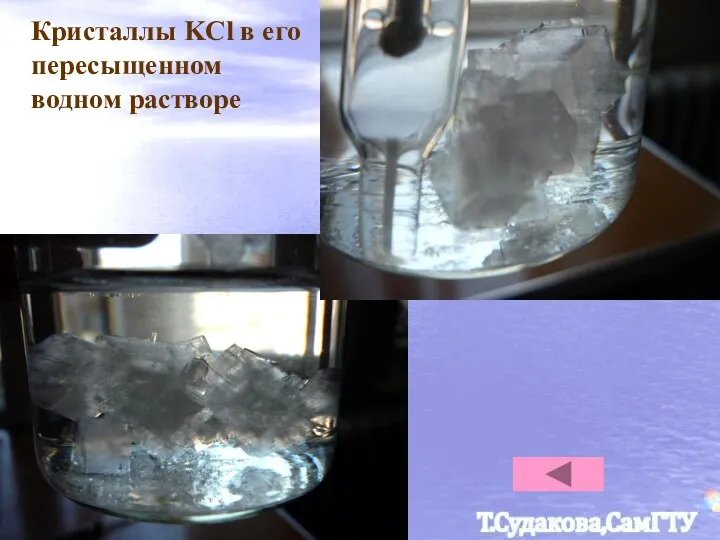 Кристаллы KCl в его пересыщенном водном растворе