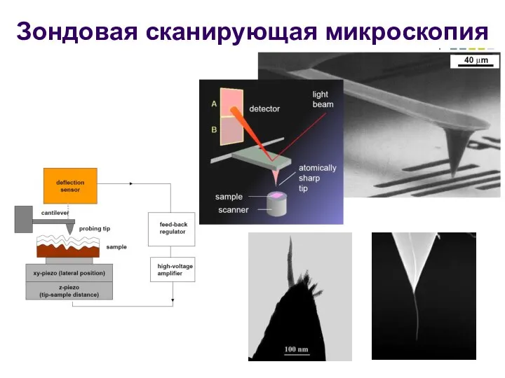 Зондовая сканирующая микроскопия