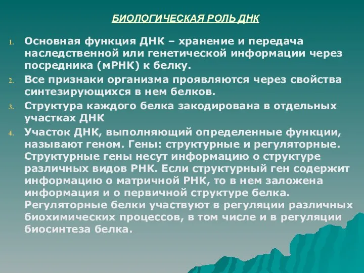 БИОЛОГИЧЕСКАЯ РОЛЬ ДНК Основная функция ДНК – хранение и передача наследственной