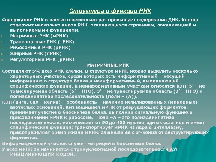 Структура и функции РНК Содержание РНК в клетке в несколько раз